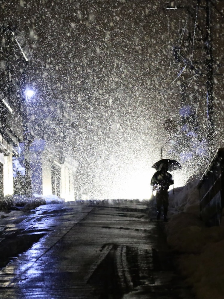 [Image1]A winter night Toyama 2020