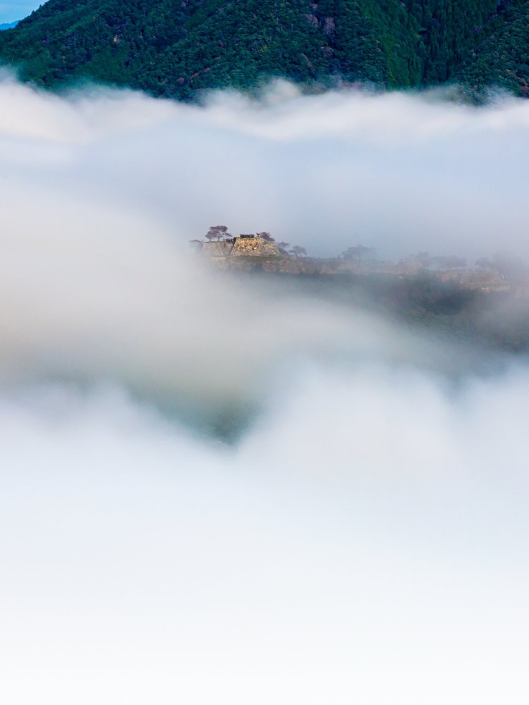 [画像1]雲海の流れに乗り上げる竹田城跡兵庫県にて