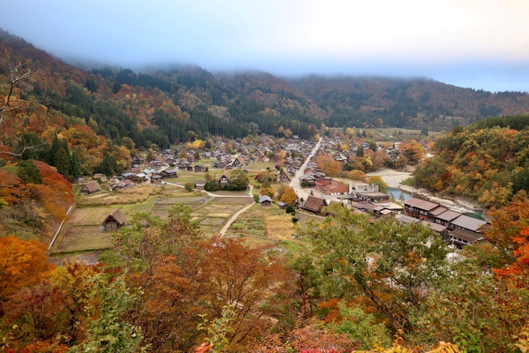 [이미지1]기후현의 가을에 시라카와고.