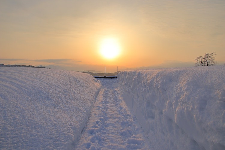 [相片1]通往清晨阳光的道路...篱笆完全在雪中。 (^_^;)2023.02.18 / 拍摄。#朝日新闻 #日出 #雪廊 #摄影是我的动力 #我想与拍照的人建立联系 #我想与喜欢摄影的人建立联系 #通过取景器