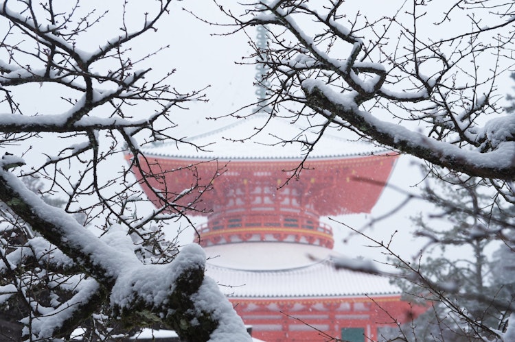 [이미지1]진언종의 본산이 있는 와카야마현 고야산의 겨울 풍경입니다. 붉은 사원은 주요 탑입니다.