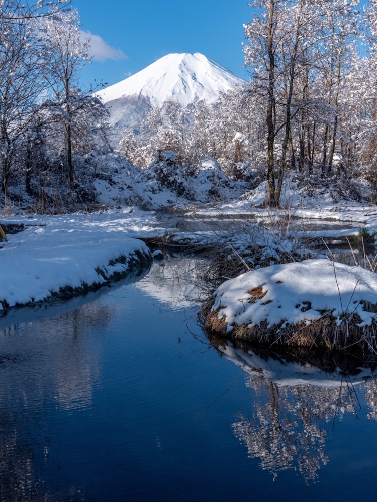 [Image1]Obsessed with the charm of Mt. FujiFuji ❄ in winter