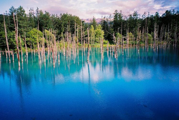 [相片1]#北海道藍色池塘