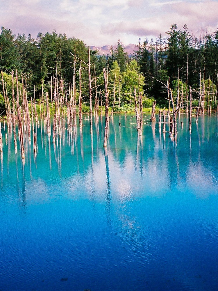 [Image1]#北海道Blue pond