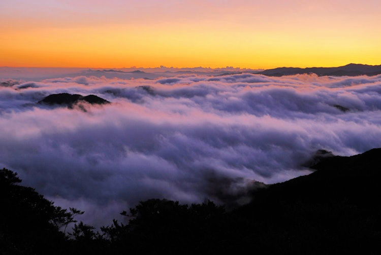 [画像1]和歌山県奥高野で出会った雲海です。