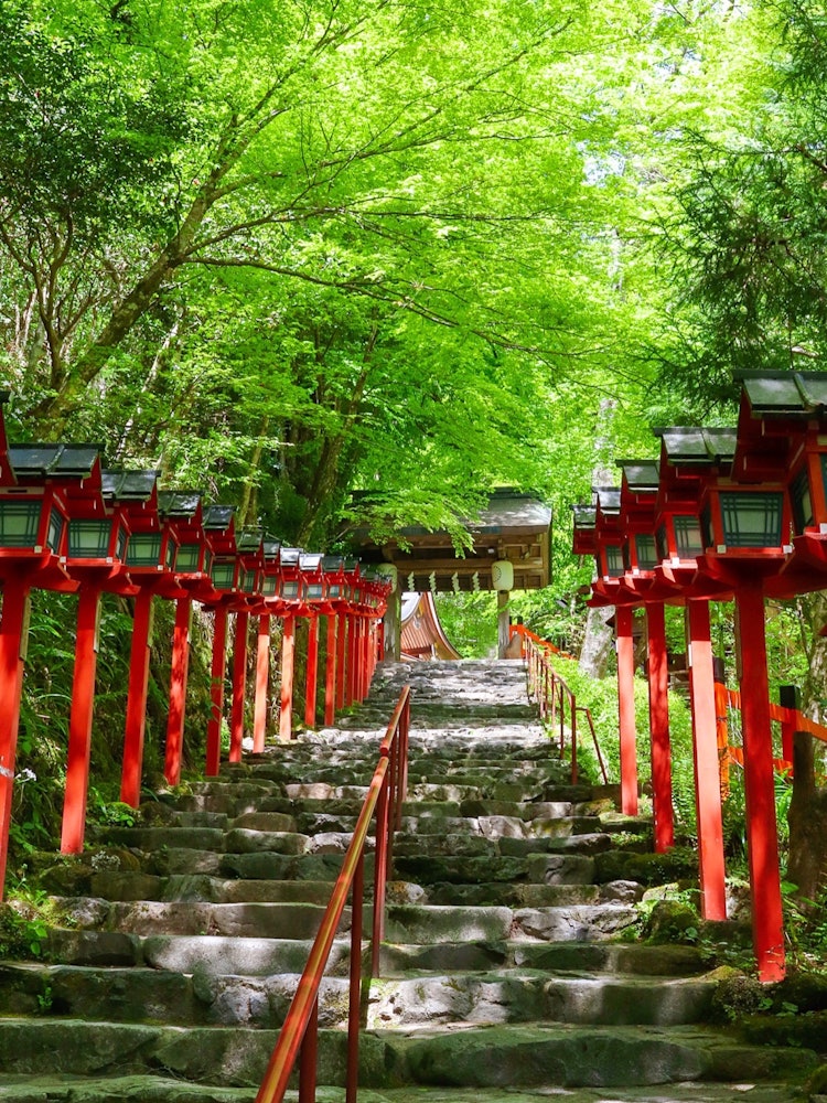 [Image1]・Kyoto Kifune Shrine・Photography equipment Canon EOS9000DNot only the season of fresh greenery, but 