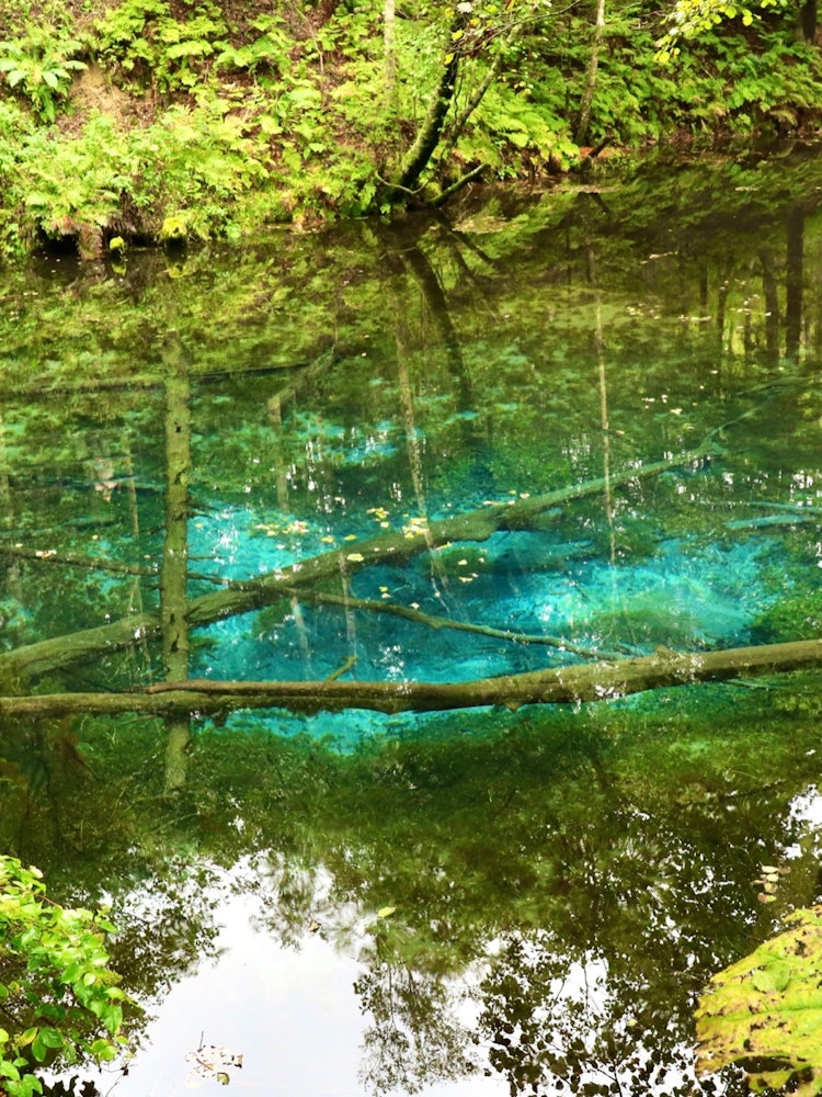 [相片1]北海道有一个池塘，非常美丽，据说它是由一个神建造的，有一个全年蔓延的蓝色池塘。 它的名字是上帝的小池塘。