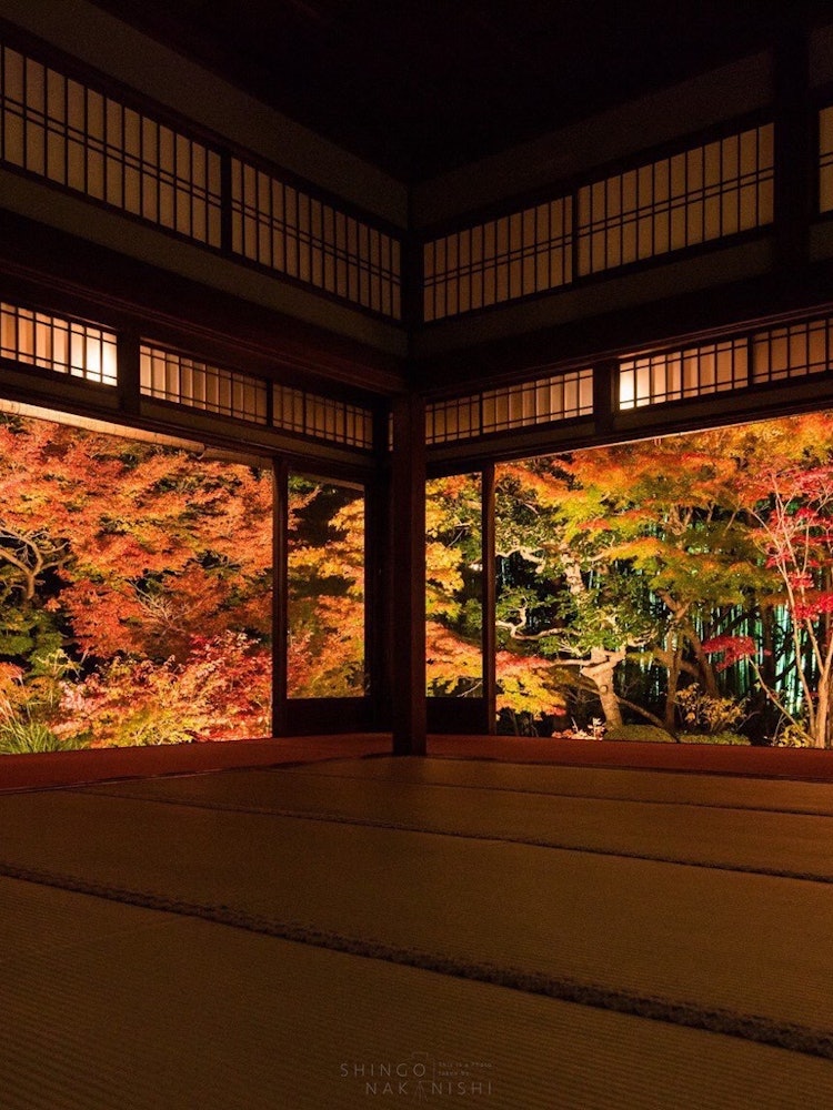 [Image1]Kyoto, Nanzenji Temple Autumn leaves of Tenjoan.In autumn, there is a special viewing of the illumin