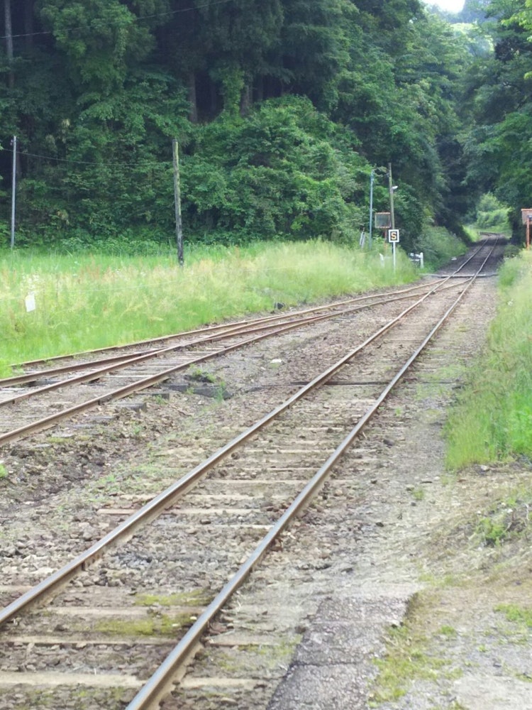 [画像1]以前行った小湊鉄道、月崎駅からの風景🚃緑に囲まれて素敵な場所でした☺️