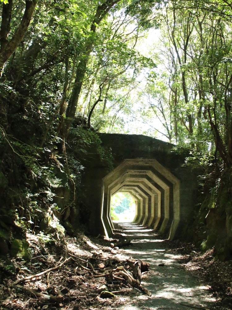 [이미지1]1915년(다이쇼 4호)에 개통되었으며 구마노부 철도의 유적 중 하나입니다. 철도는 1964 년 (쇼와 39 년)에 버려졌지만, 떨어지는 바위를 막기 위해 지어진이 팔각형 터널은 