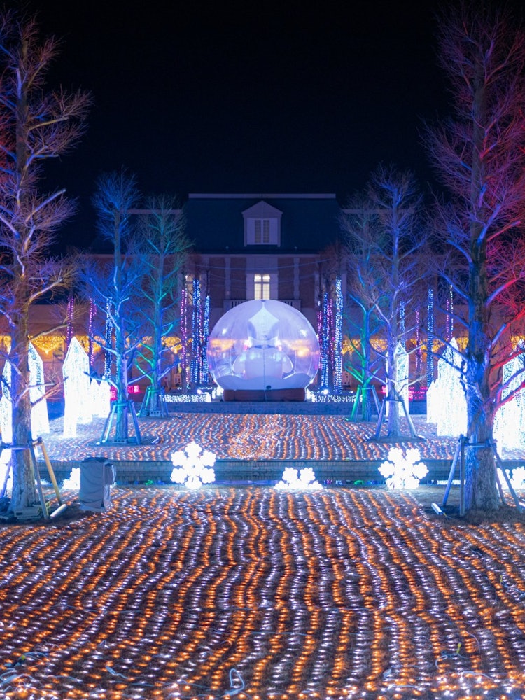 [Image1]The illuminations 😯 of the fruit flower park in Mita, Hyogo Prefecture that I have wanted to go to a