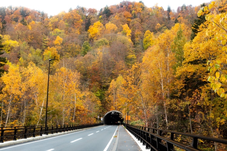 [相片1]通往秋天的隧道北海道的红叶采摘点（定山溪水坝）每年都有很多人来看这个风景当您潜入这条染成美丽的隧道时，您会感到接近秋天。