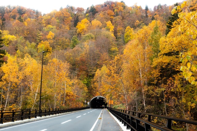 [画像1]秋に通ずるトンネル北海道にある紅葉狩りスポット（定山渓ダム）毎年この景色を見るために多くの人が訪れます綺麗に染まったこのトンネルを潜ると秋を身近に感じることが出来ます