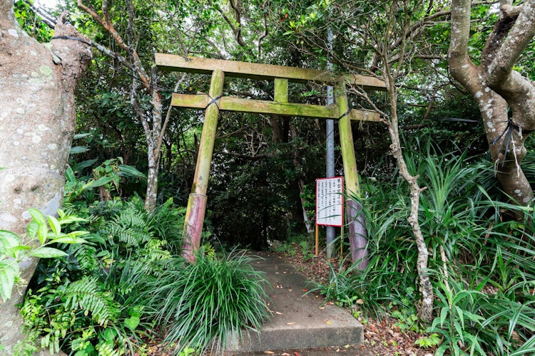 [이미지1]스에요시 신사스에요시 신사 (Sueyoshi Shrine)의 도리이 문으로 류큐 신사 8 대 중 하나입니다.입구가 두 개 있지만 이 숲 위의 진입로에서 들어왔습니다.깜짝 놀랐던 것