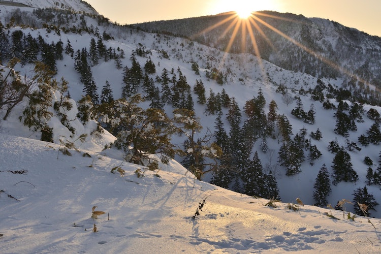 [相片1]“照亮脚印”我拍了一张在横手山附近攀登的早晨太阳和雪原上留下的动物脚印的照片。虽然天气很冷，但我非常满意我能够拍下光条纹的照片。地点：长野志贺高原