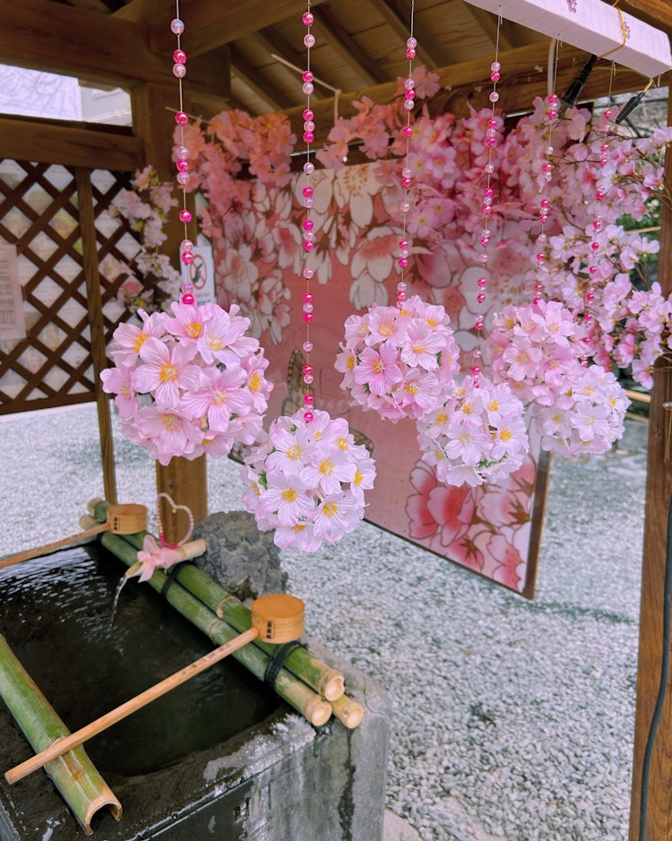 [이미지1]3/28/24 촬영.이것이 가와고에 구마노 신사의 사랑의 물입니다.여사제에 의한 손수 만들기라고 합니다.