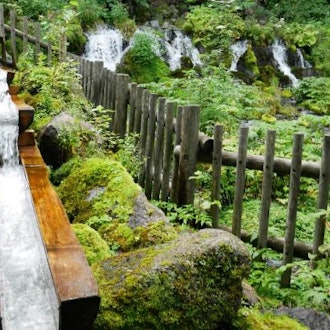 [Image1]If you go out to Kyogokucho Park (ふきだし園) in Niseko on holidays, you can drink delicious spring water