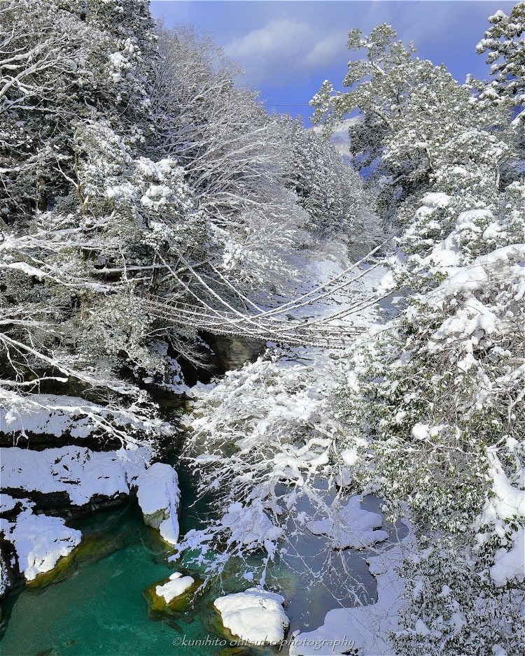 [相片1]「一良桥雪景」地点：德岛县三好市西屋市风桥＊~和良桥的雪景~冬天的和良桥被雪覆盖。 冬天的和良桥，被静静落的雪覆盖，气氛奇妙。＊＊~ 一郎桥的雪景 ~冬季风桥与雪。 安静、白雪皑皑的冬季和浦桥拥有梦幻