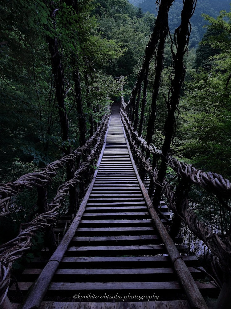 [Image1]「Unexplored region bridge」location：徳島県三好市東祖谷・二重かずら橋＊～Unexplored region suspension bridge～The 