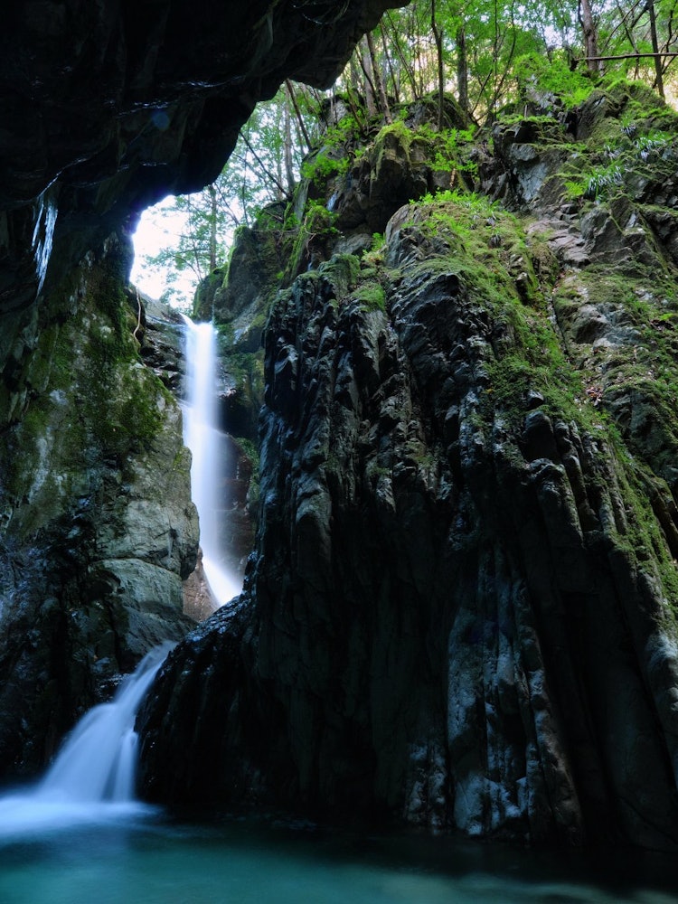 [画像1]和歌山県古座川町松根地区にある「植魚の滝」です。 落差およそ１８mの段瀑で、苔むした岩に囲まれた滝はとても神秘的です。 林道からは１５分ほど歩かないと到達できませんが、２月頃になるとバイカオウレンも咲