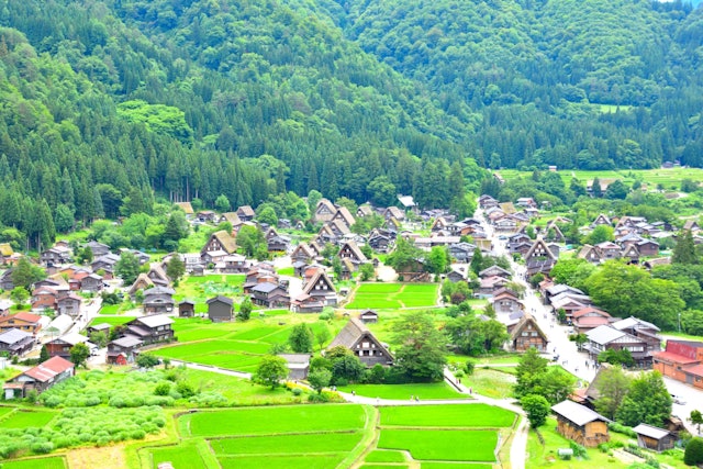 [画像1]📍岐阜県/白川郷世界遺産に登録されており、「合掌造り集落」で有名です。