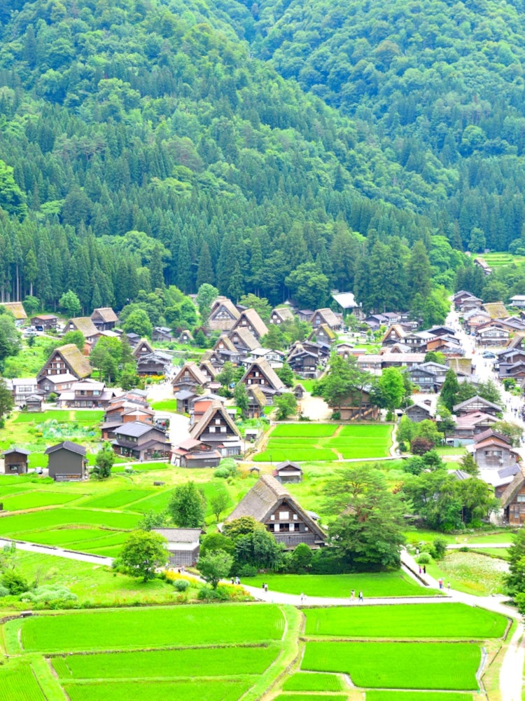 [相片1]📍 岐阜/白川乡它被登录为世界遗产，以其“合掌造村”而闻名。