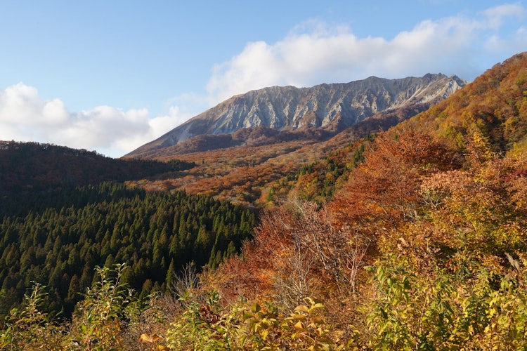 [相片1]這是鳥取縣的Houyo山。Kagikake Pass的紅葉總是日本式的！