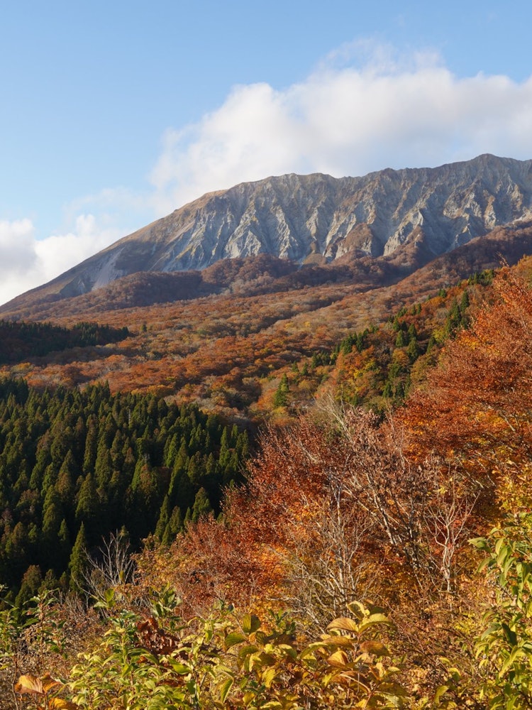 [画像1]鳥取県の伯耆大山です。鍵掛峠からの紅葉はいつみてもジャパネスク！