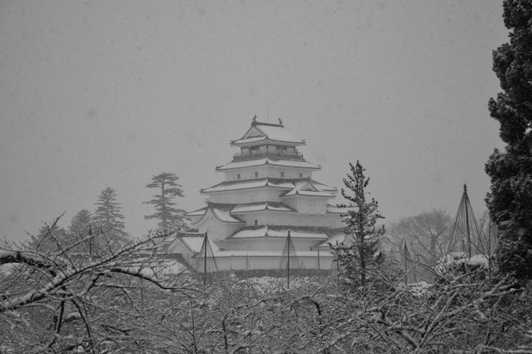 [相片1]雪中的敦贺城是会津若松独有的景象，散发着雄伟的美丽。