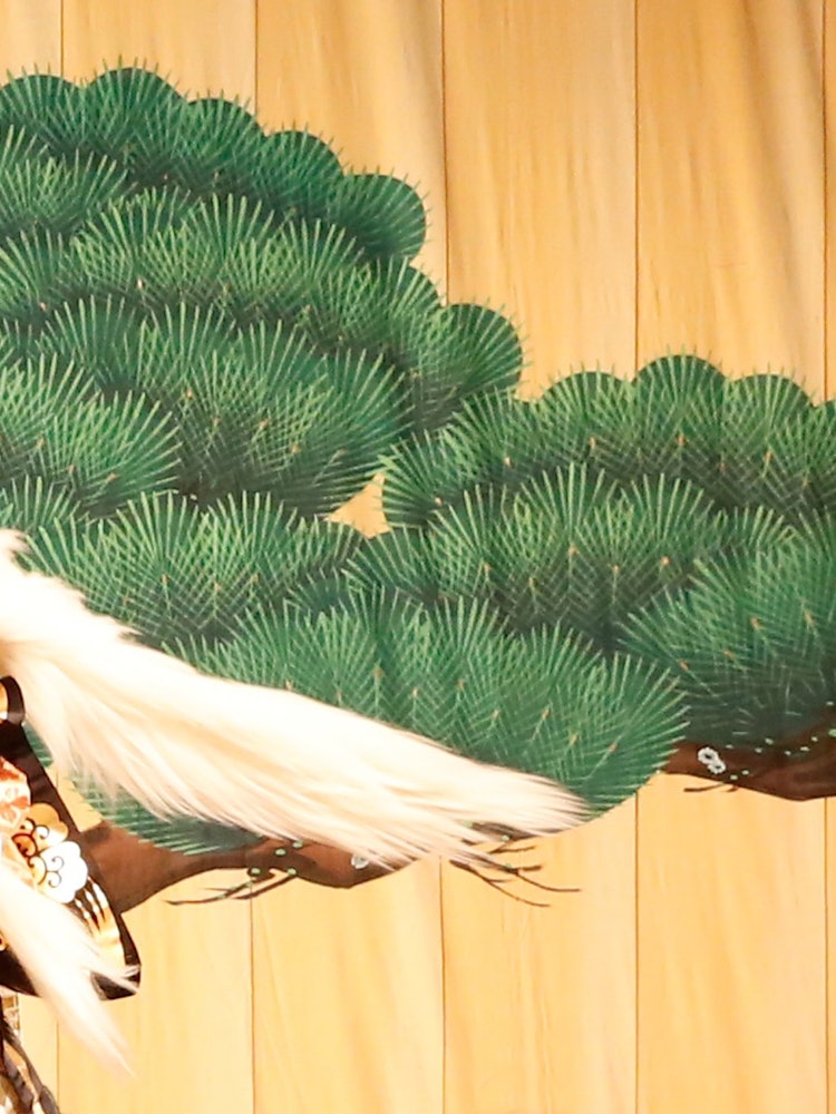 [이미지1]가부키 춤 공연 : Renshi에서댄서: 와카츠키 센노스케2014사진: ATZSHI HIRATZKACanon 5d3 , 24-70mm f2.8 L