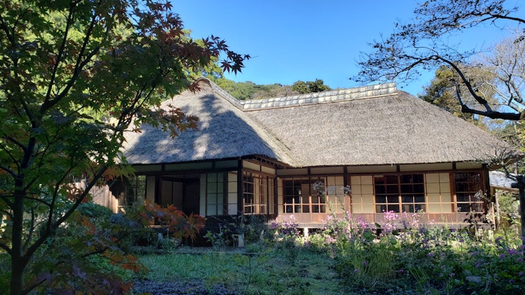 [相片1]镰仓的乔奇二松院。 经过冬季准备，您可以感受到安静地站立的茅草的气氛。 红叶才刚刚开始。 我期待着看到事情每天都在变化。