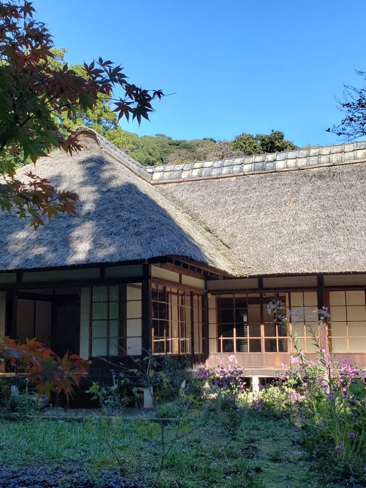 [Image1]Jochiji Shoin in Kamakura. After winter preparations, you can feel the atmosphere of the thatch that