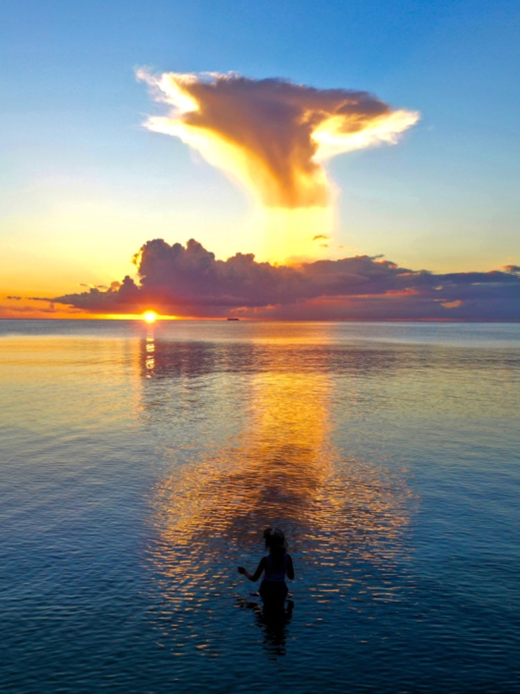 [画像1].藪を抜けて海へ。 びっくり巨大まいたけ浮かんでる！.刻々と形を変えるまいたけ軸はふわふわと輝きを増し太陽のピカッをしたがえる吸込まれるように雲へ進むわたしはネッシーさながら