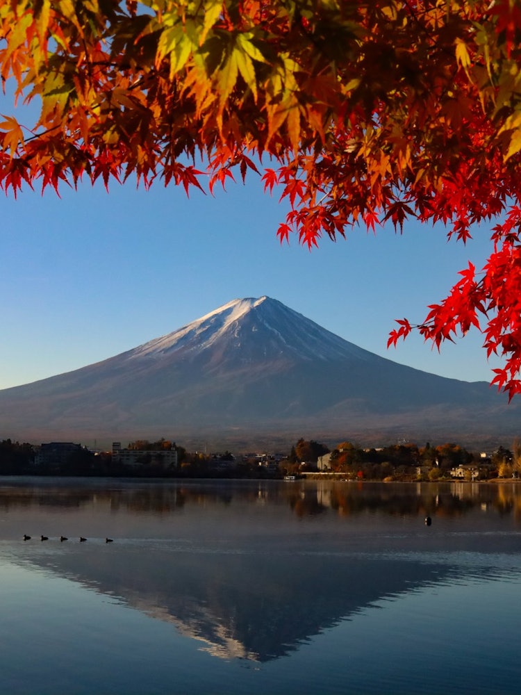 [Image1]I photographed Mt. Fuji for the first time in my life.I spent the day shivering from 5 a.m. until su