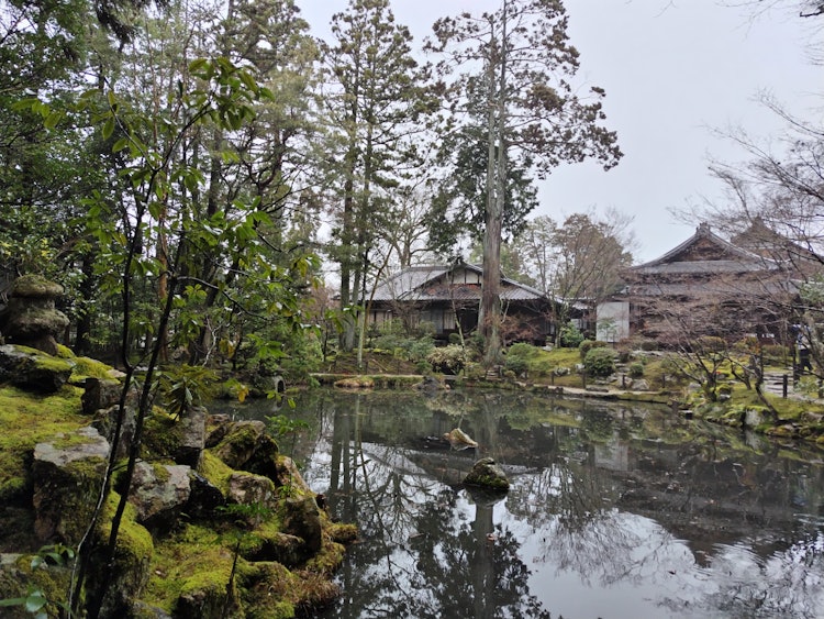 [相片1]Nanzenji Temple Totou Tenjoan，我在雨中行走。 有人曾经说过，日本人的感性是增强水的本来面目并感受美。 明白了。 真是这样吗？