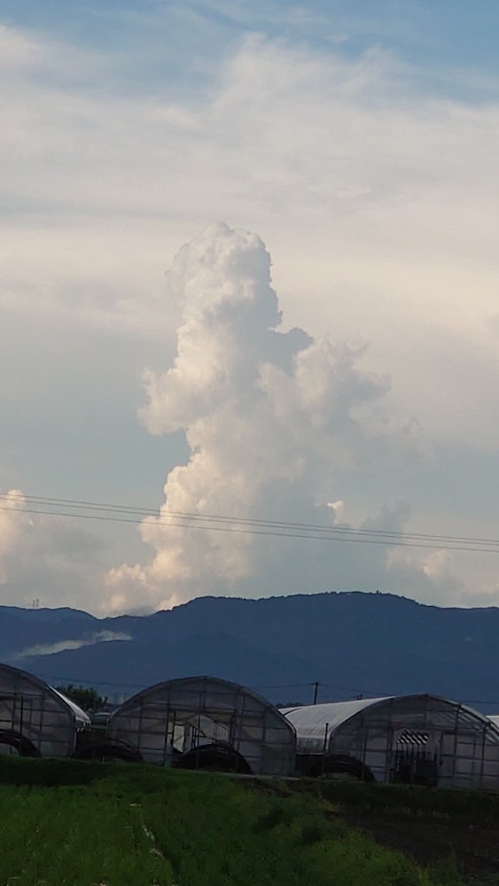[이미지1]구름.고질라가 나왔다.