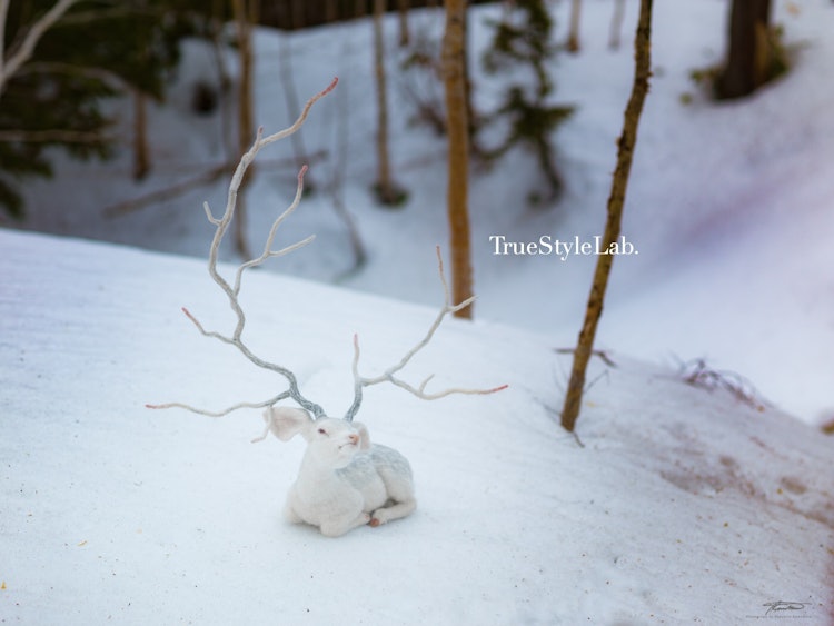 [相片1]这是一件羊毛雕塑作品，神秘地将花道和盆景的线条表达与逼真的鹿融合在一起。 这是背景中日本冬季风景的照片。
