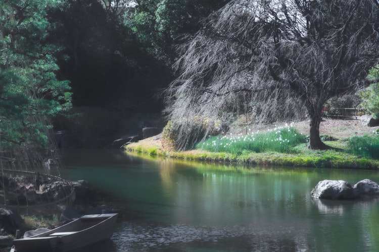 [相片1]白鸟花园是以大池塘为中心的“池塘漫步式”日本花园，以东海地区三个县为中心的中部地区的地形为基础。特别是，从名为清发亭的茶馆和伊势湾地形的池塘中看到的木曾三条河（伊美河、长良河和木曾河）周围盛开的水仙花