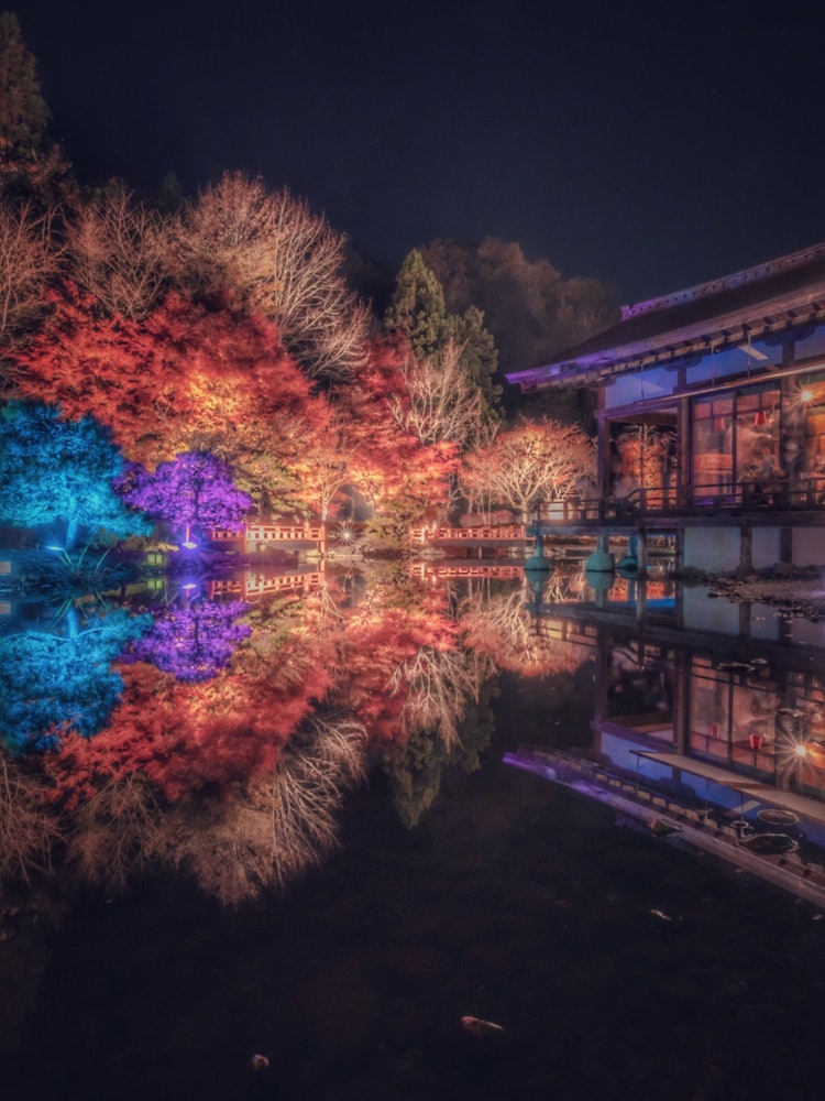[Image1]Reflection 💠 × illumination of the village of Esashi Fujiwara in Iwate Prefecture