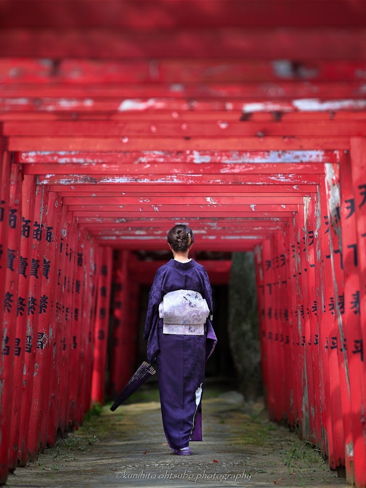 [Image1]「The vermilion torii world」location： 香川県東かがわ市・白鳥神社＊Shiratori Shrine has a legend that the spirit of 