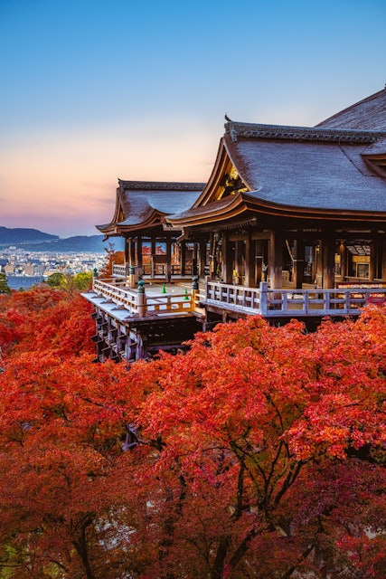 [Image1]初めての京都定番の清水寺です紅葉がめっちゃ赤かった