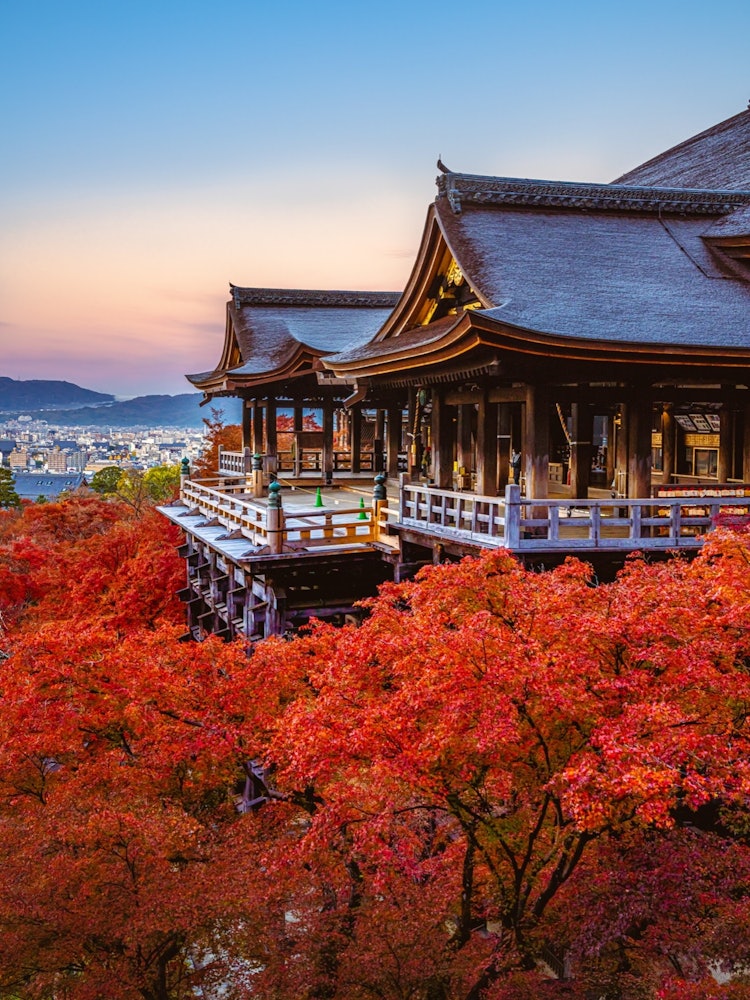 [Image1]My first time in KyotoIt is a classic Kiyomizu templeThe autumn leaves were very red.