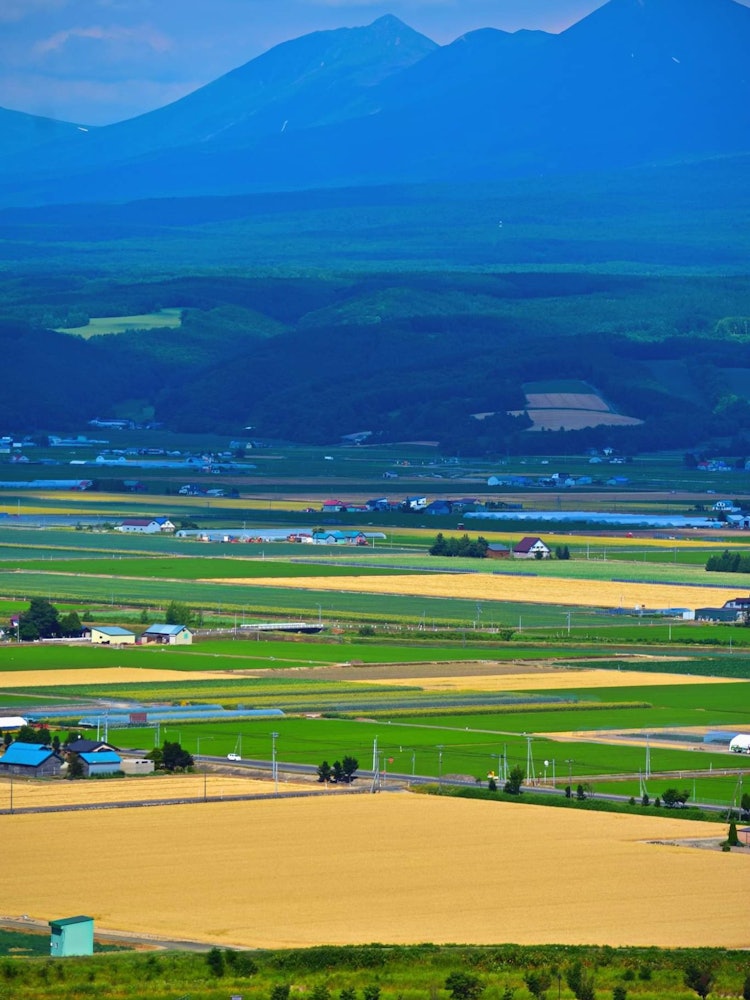 [Image1]The patchwork field is very popular among the tourist because of its scenic beauty. Luckily when I v