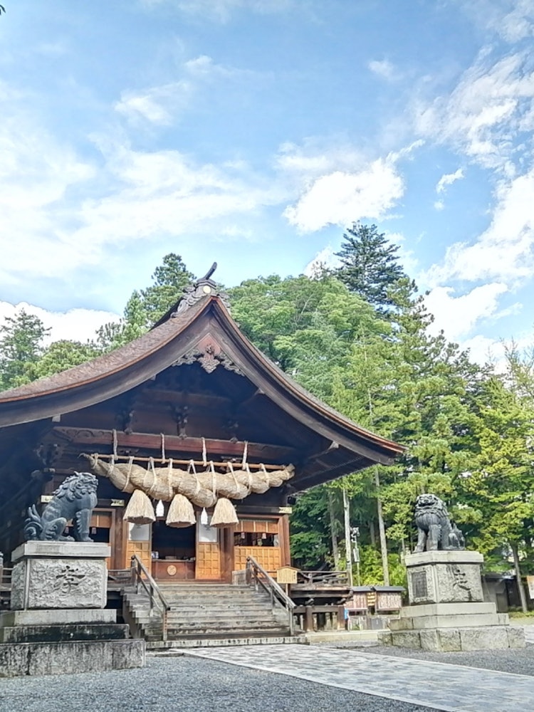 [Image1]Suwa Taisha Shrine in Nagano Prefecture. When you enter the green grounds in the summer sun, you can
