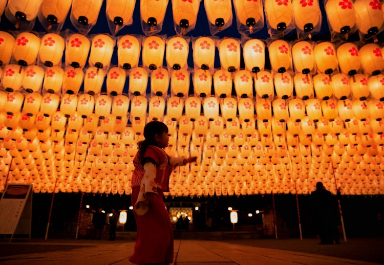 [画像1]普段地元で初詣をするのですが1978年から続くイベント姫路の万灯祭に行ったのですが、提灯の数にビックリしました。三脚禁止なので参拝者の邪魔にならない様手持ちで撮影致しました。