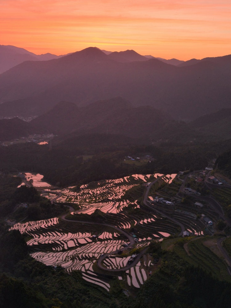 [相片1]位于三重县熊野市的圆山千美田被公认为日本100个最佳梯田之一。 只有几次装满水的梯田被染成茜草，但那是一段幸福的时光。