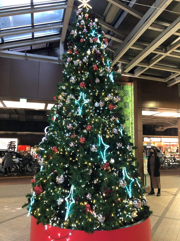 [Image1]A nice Christmas tree I found near Akabane Station. I'm pretty excited for the holidays. I like the 