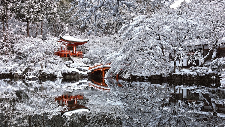 [이미지1]교토의 다이 고지 불교 사원입니다. 이 사진은 따뜻한 붉은 사원과 쌀쌀한 겨울 바람의 대비를 강조합니다. 이 장면의 아름다움에 경외감을 느끼며 겨울 분위기를 자아냅니다. 한 사람은