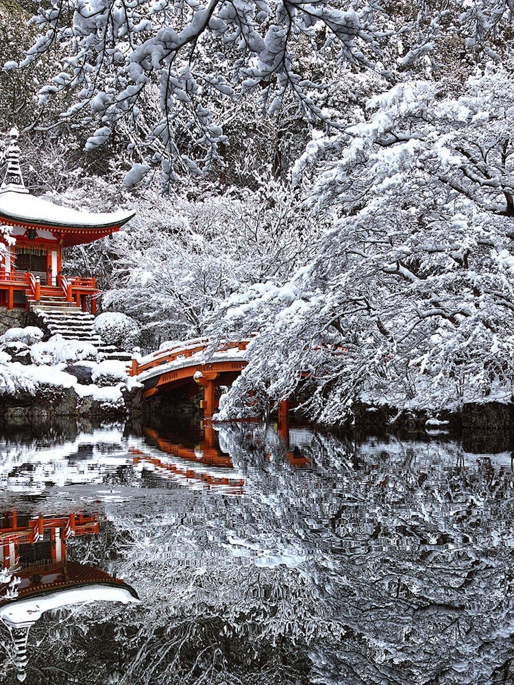 [이미지1]교토의 다이 고지 불교 사원입니다. 이 사진은 따뜻한 붉은 사원과 쌀쌀한 겨울 바람의 대비를 강조합니다. 이 장면의 아름다움에 경외감을 느끼며 겨울 분위기를 자아냅니다. 한 사람은