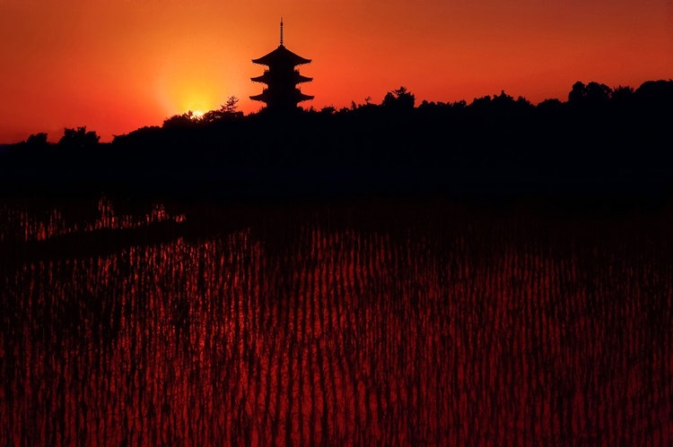 [相片1]冈山县宗子市的备中分寺。 6月，在吉备寺的乡村种植水稻，风景变幻莫测。 在晴朗的日子里，五重塔和田园风光特别美丽。